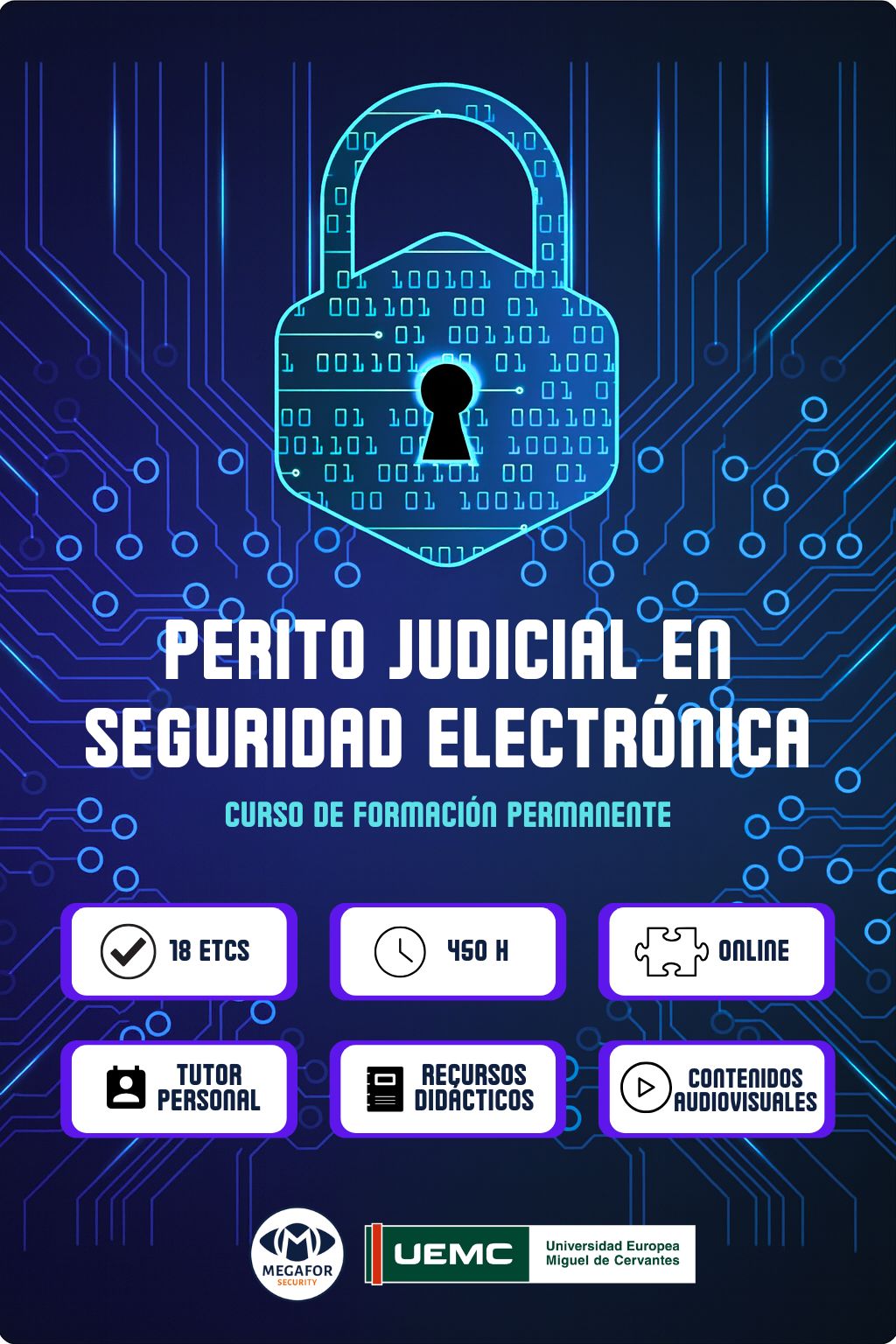 Perito Judicial Seguridad Electrónica
